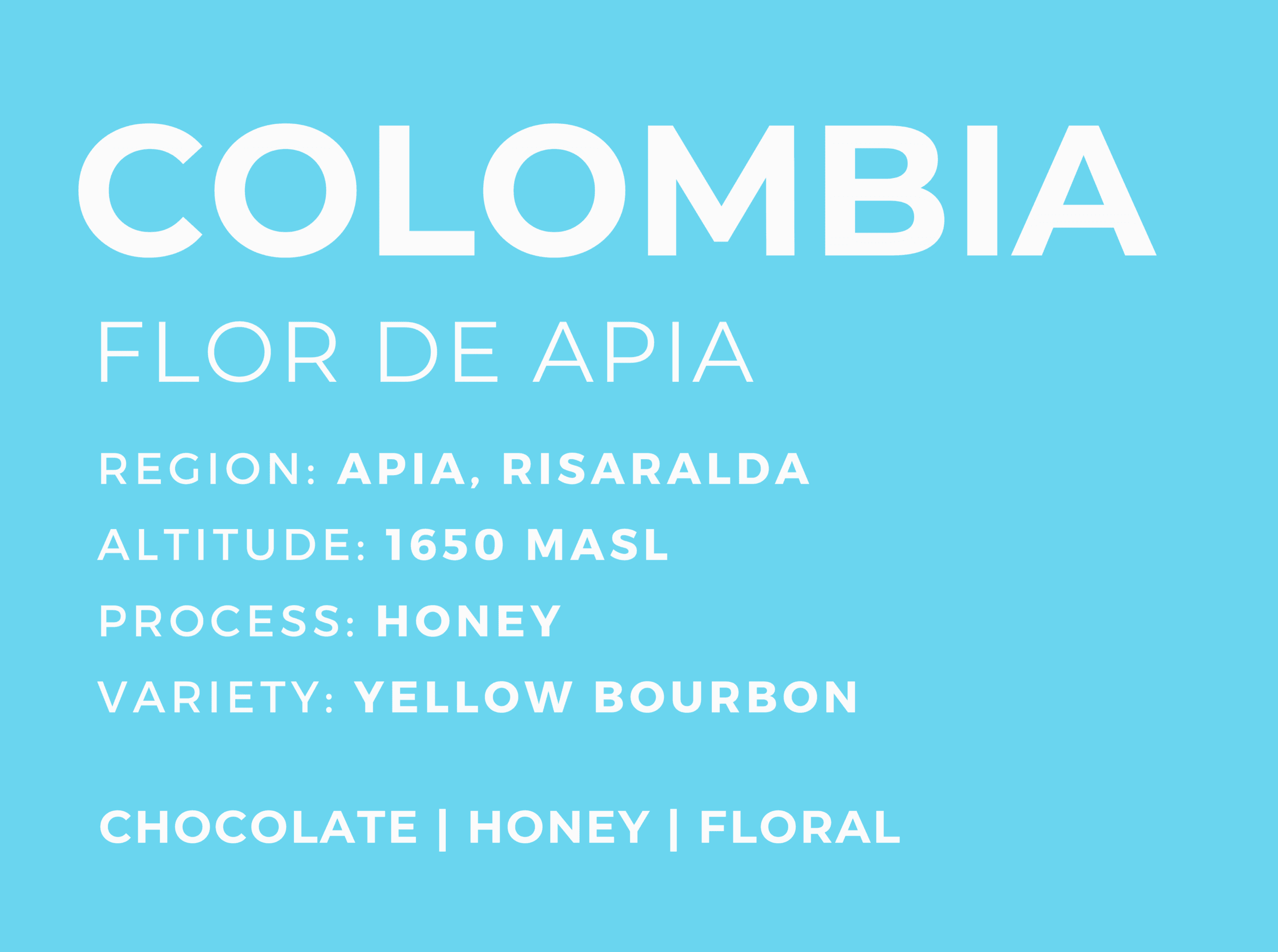 Flor de Apia, roasted by Patio Coffee Roasters