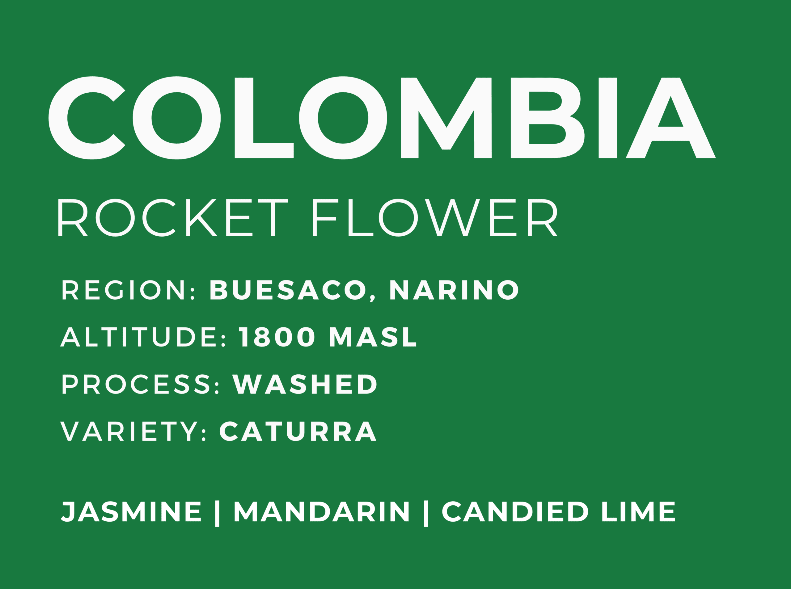 Rocket Flower, roasted by Patio Coffee Roasters