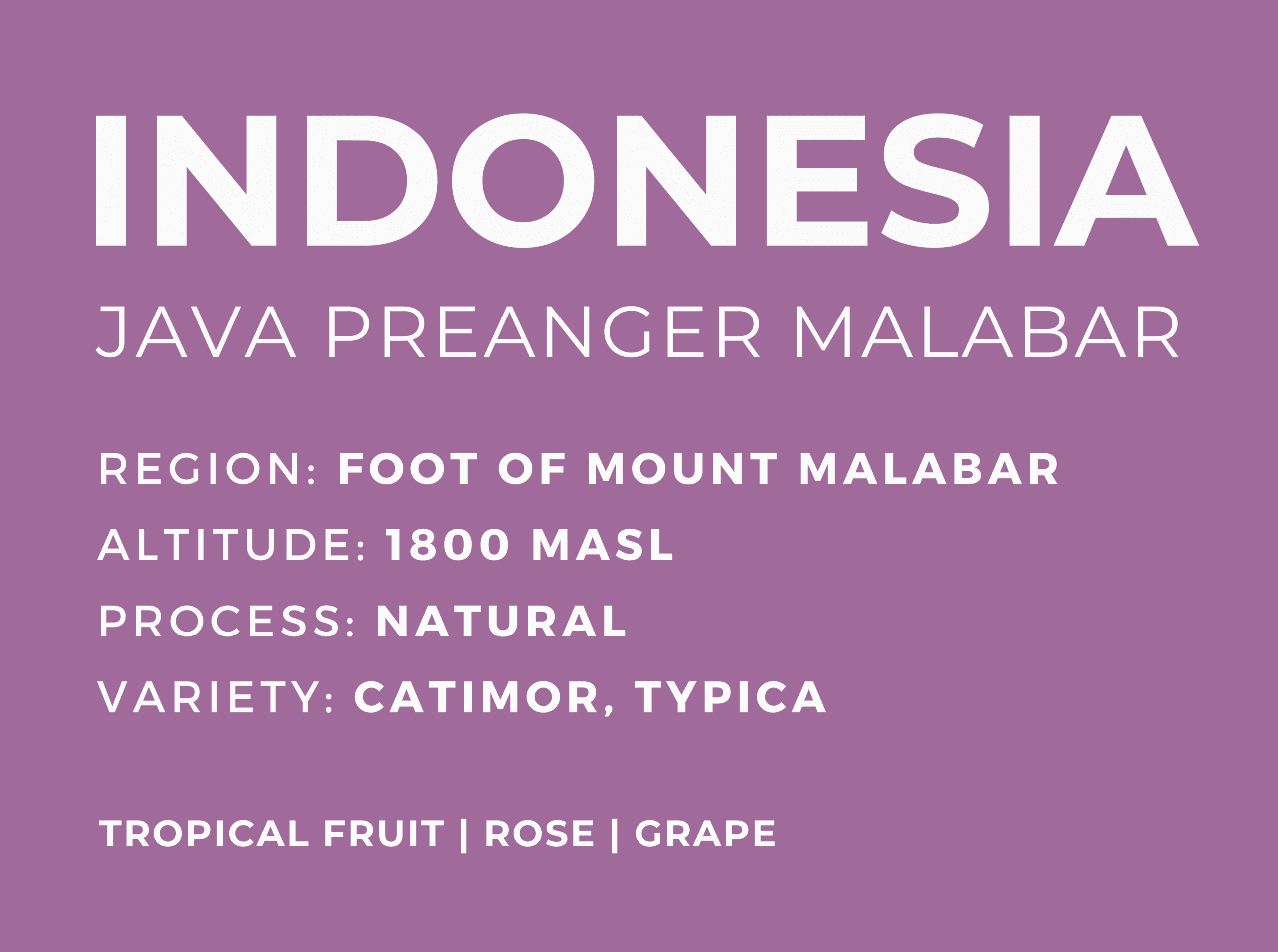 Preanger Malabar, roasted by Patio Coffee Roasters