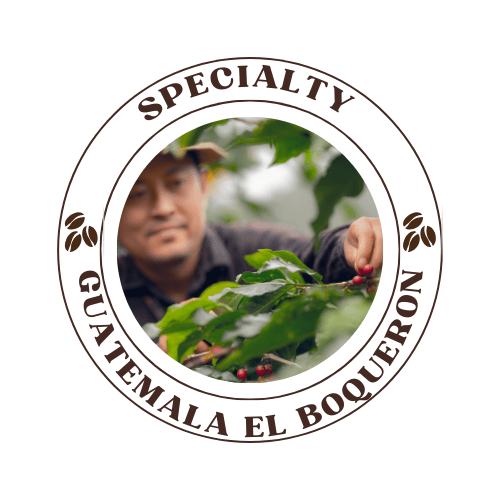 El Boqueron, roasted by Quists Coffee