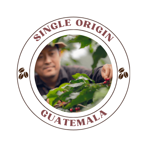 Guatemala, roasted by Quists Coffee