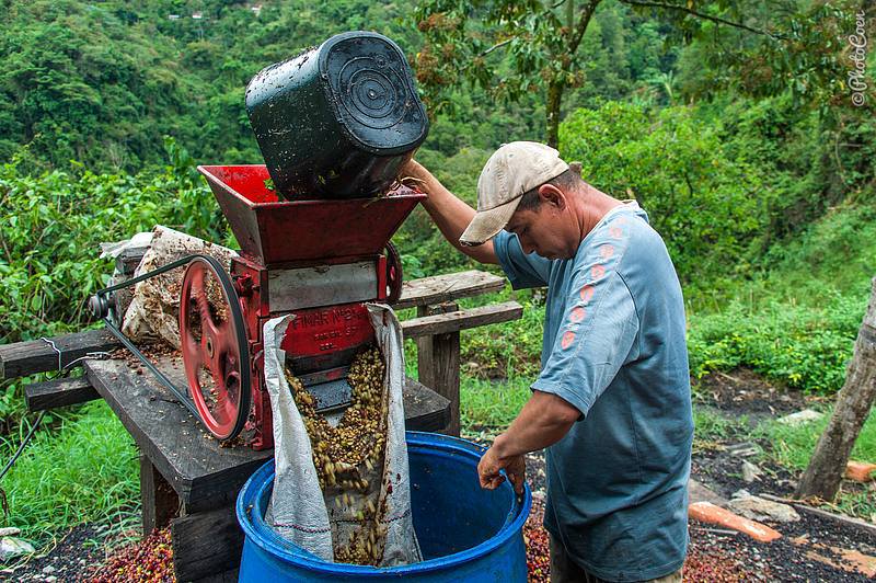 Organic Colombian Swiss Water Decaffeinated coffee beans from By 6 Coffee Roasters